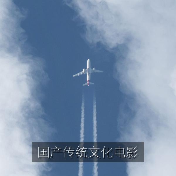 国产传统文化电影