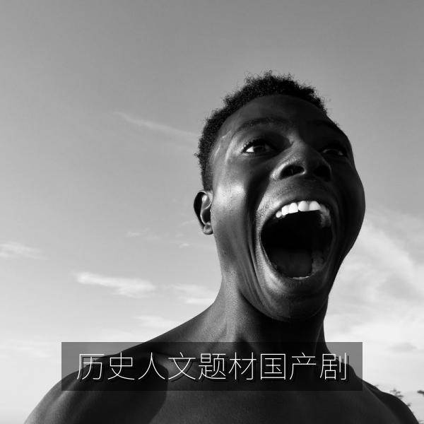 历史人文题材国产剧