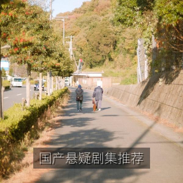 国产悬疑剧集推荐